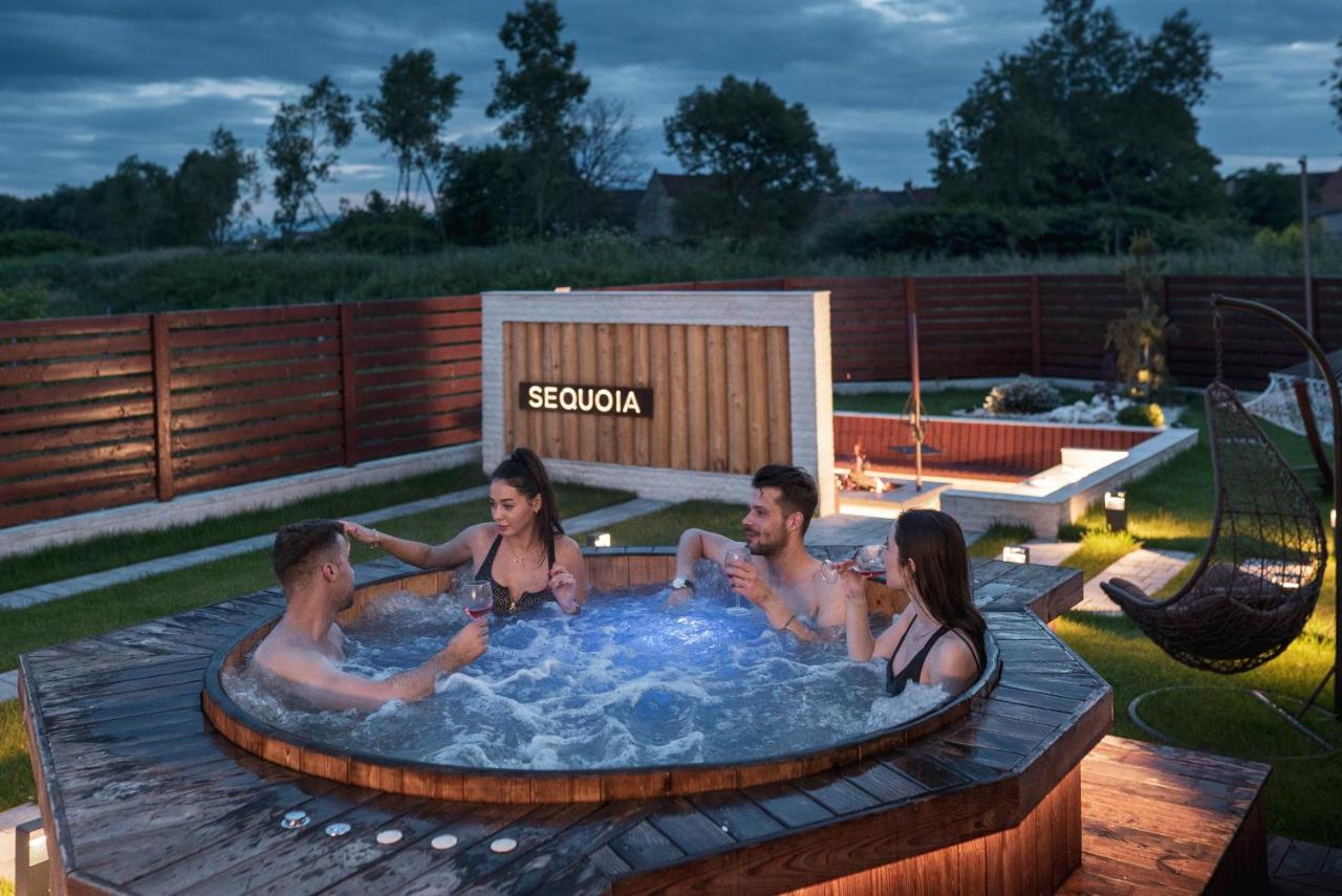 Roots Villa Sequoia Brasov Exterior photo